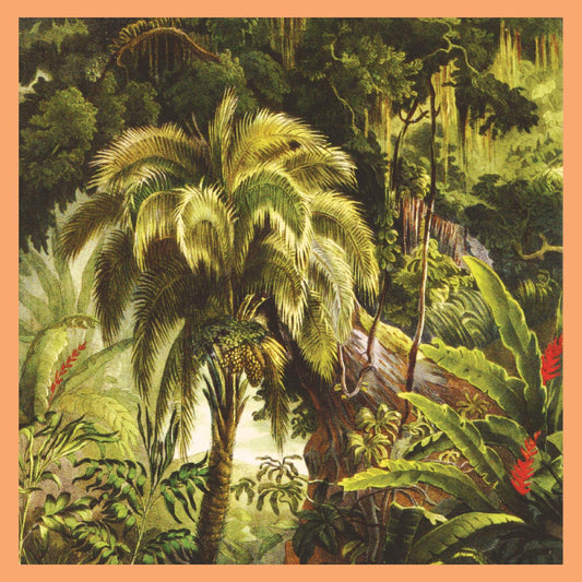 Xiu Xiu - La Foret [Jade Eco-Mix Vinyl] |