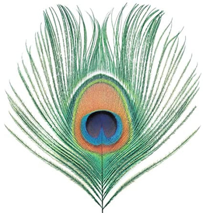 Apple Venus Vol. 1 (200g Vinyl Import) | Mint (M) Mint (M)