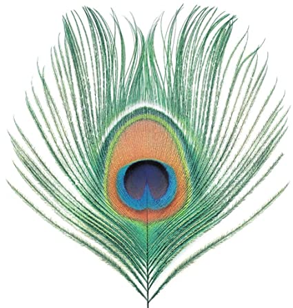 Apple Venus Vol. 1 (200g Vinyl Import) | Mint (M) Mint (M)