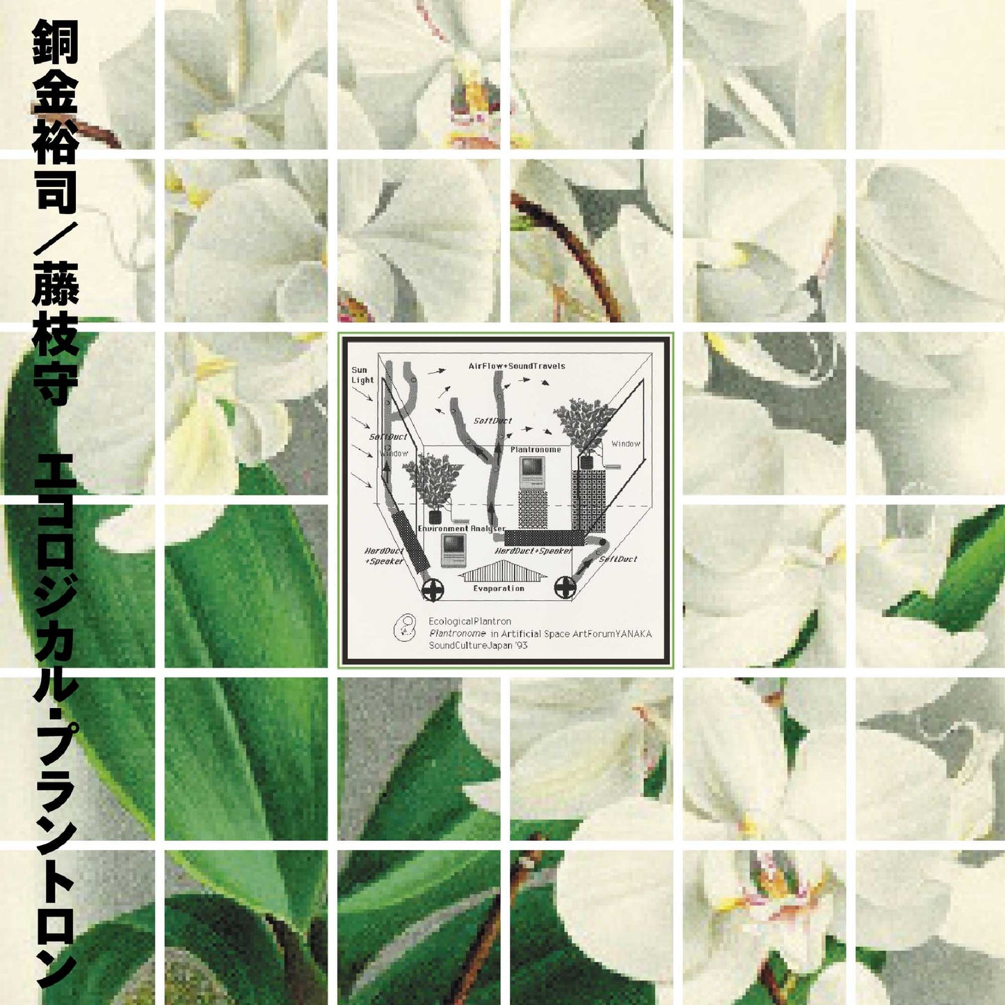 Yuji Dogane and Mamoru Fujieda - Ecological Plantron |