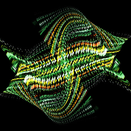 Bogus Order - Zen Brakes Vol. 2 (CD) |